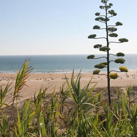 Velarde * Conil de la Frontera
