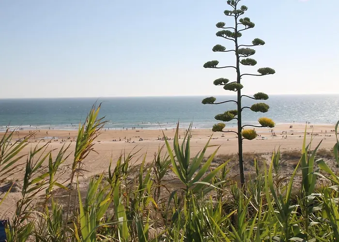 Velarde * Conil De La Frontera