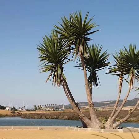 Velarde * Conil De La Frontera