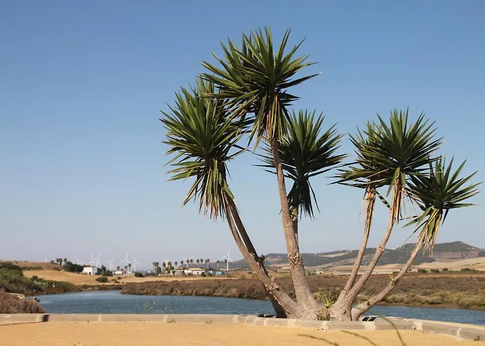 Velarde * 콘일데라프론테라